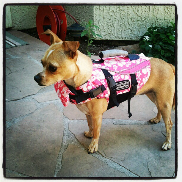 Zoey girl going swimming