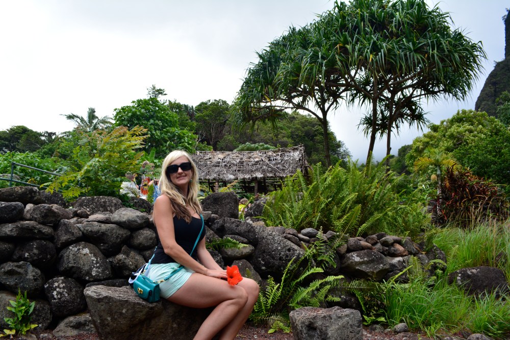 Phone It In Bag Touring Maui