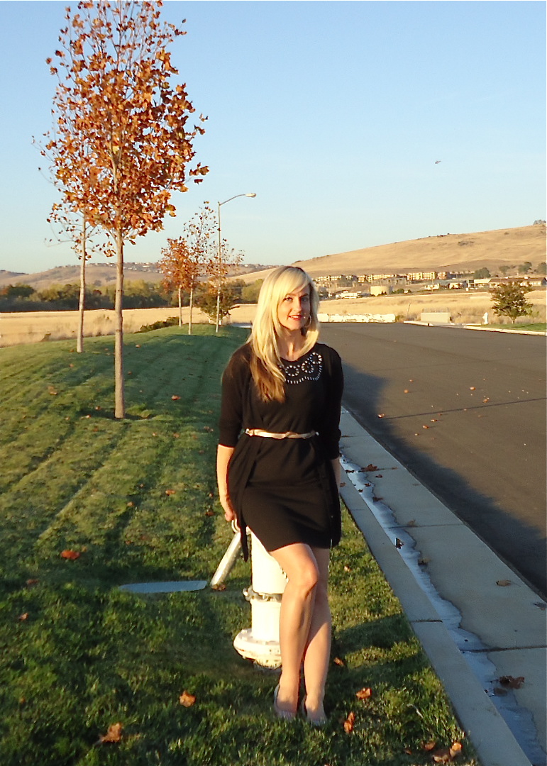 Take the mark. Exotic Edge Dress Casually