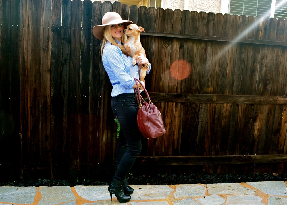 Camel hat and a camel pup!