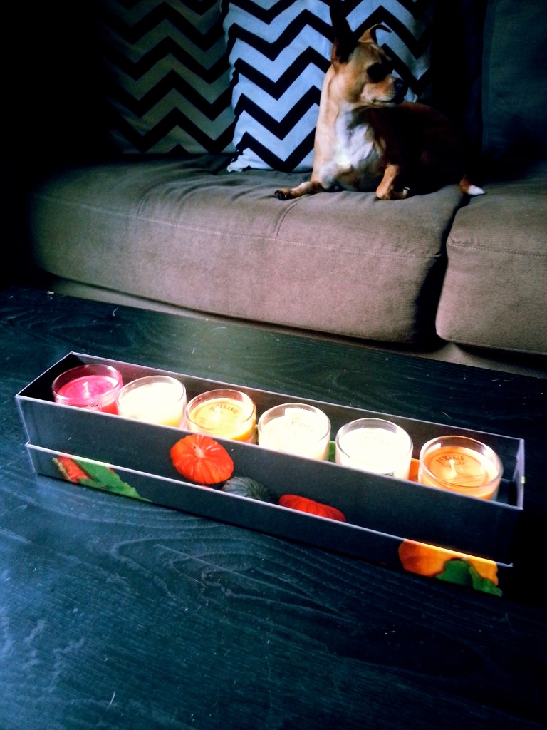 B&BW Pumpkin Candle Gift Set