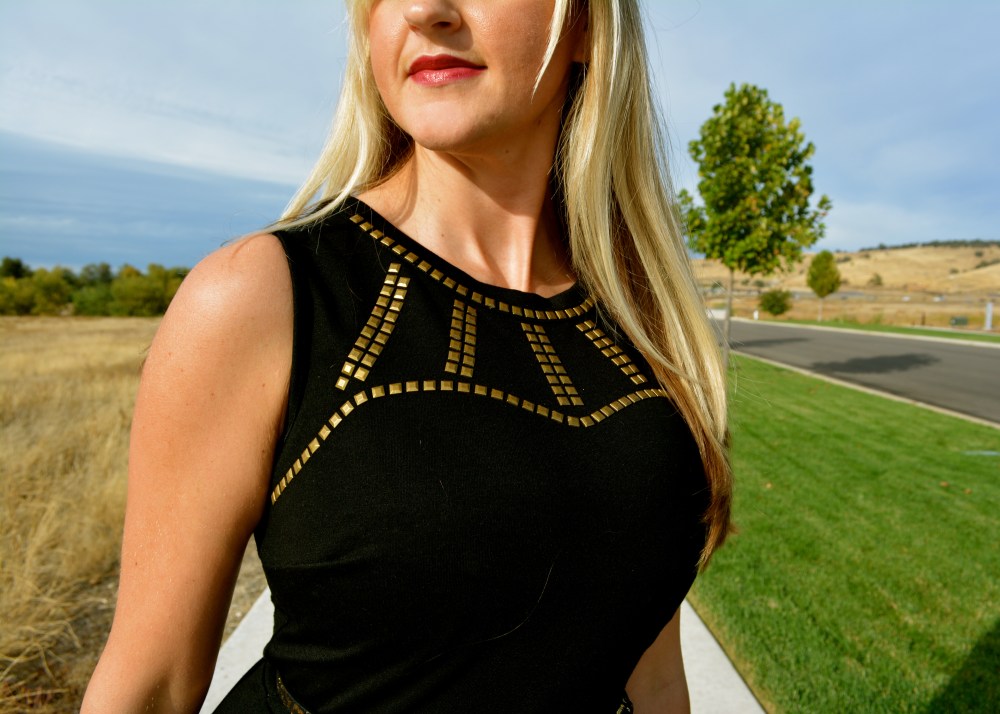 Bronze Stud Detailing