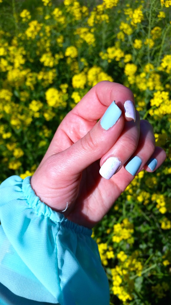 Cinderella Colors: Robin's Egg Blue and Reflective White