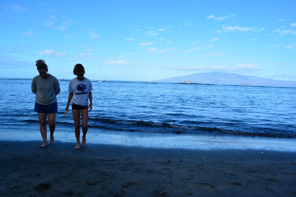 Morning Beach Walks In Maui