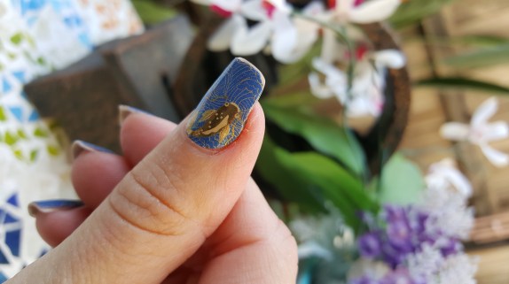 Adorable Koi Fish Design